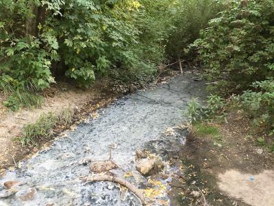 Прикрепленное изображение: IMG_9409.jpeg